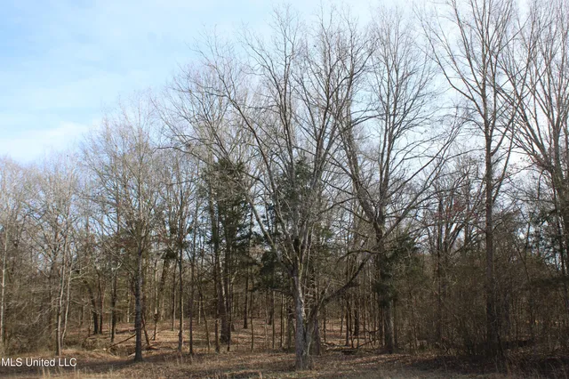 $99,900 | 5 Hollow Crossing Cove, Senatobia, MS 38668