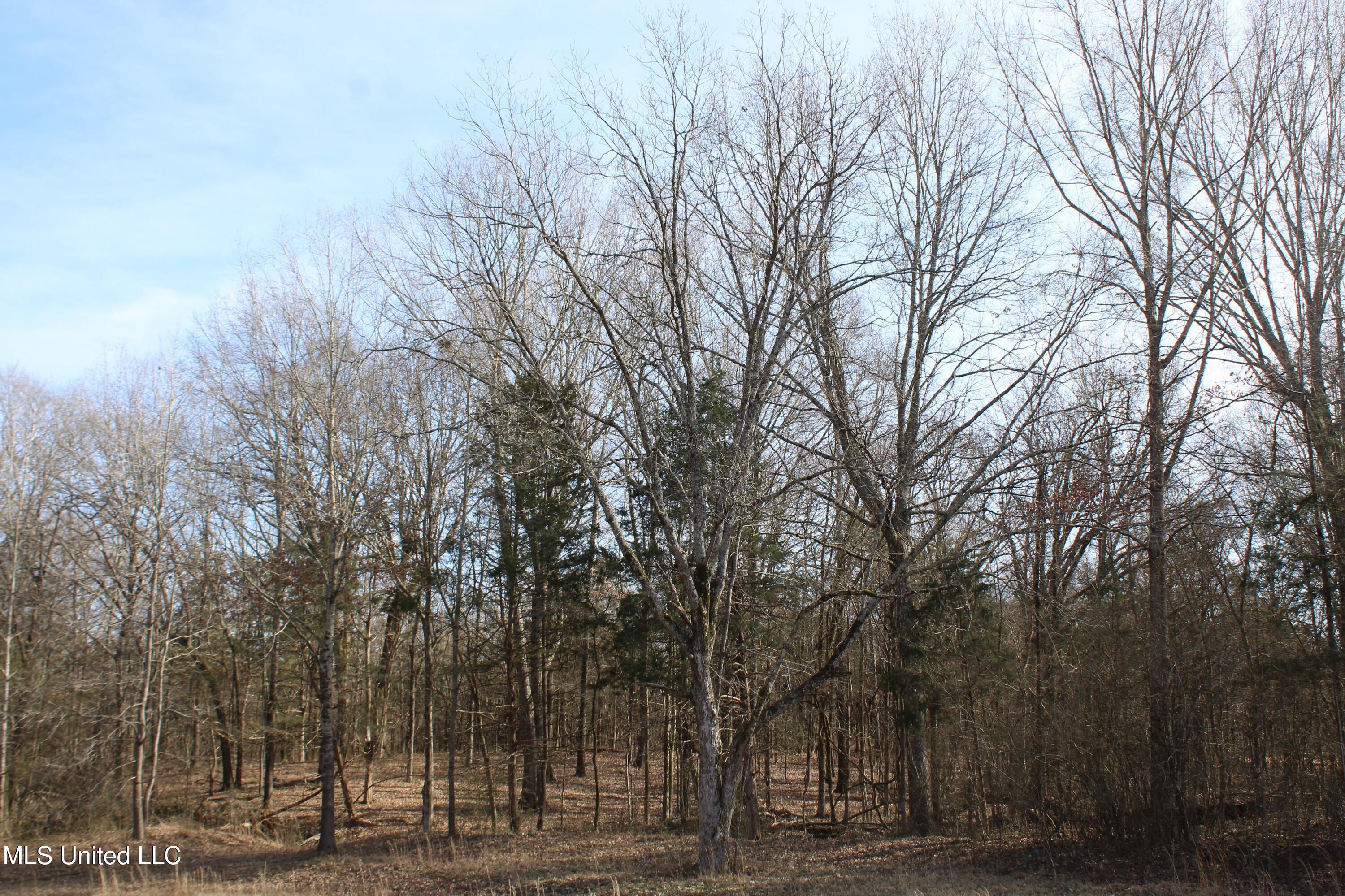 5 Hollow Crossing Cove Senatobia, MS 38668 - Photo 2 of 38 IMG_5546