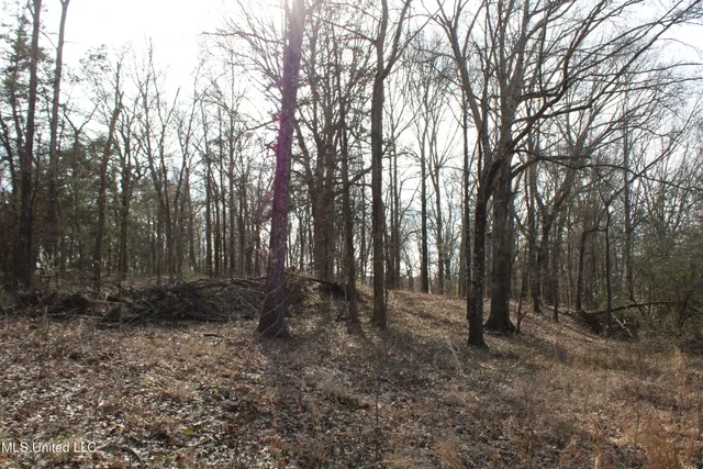 $99,900 | 5 Hollow Crossing Cove, Senatobia, MS 38668