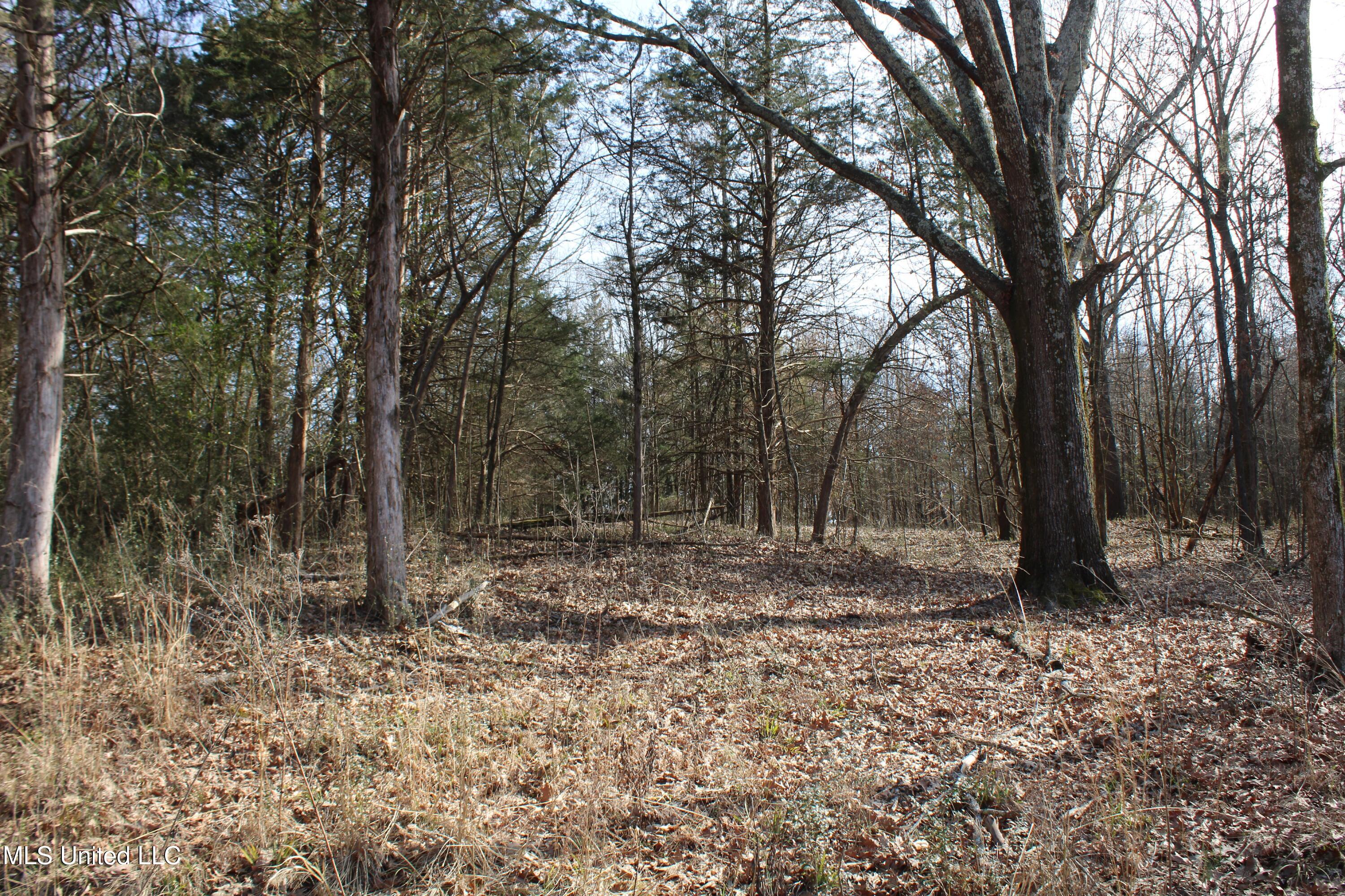 5 Hollow Crossing Cove Senatobia, MS 38668 - Photo 22 of 38 IMG_5568