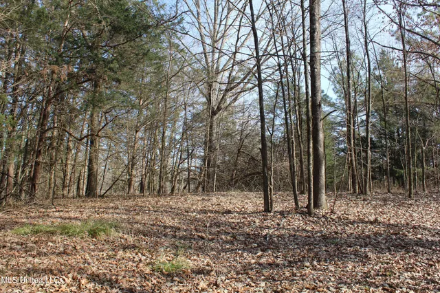 $99,900 | 5 Hollow Crossing Cove, Senatobia, MS 38668