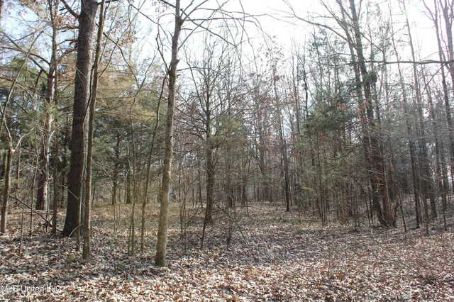 $99,900 | 5 Hollow Crossing Cove, Senatobia, MS 38668