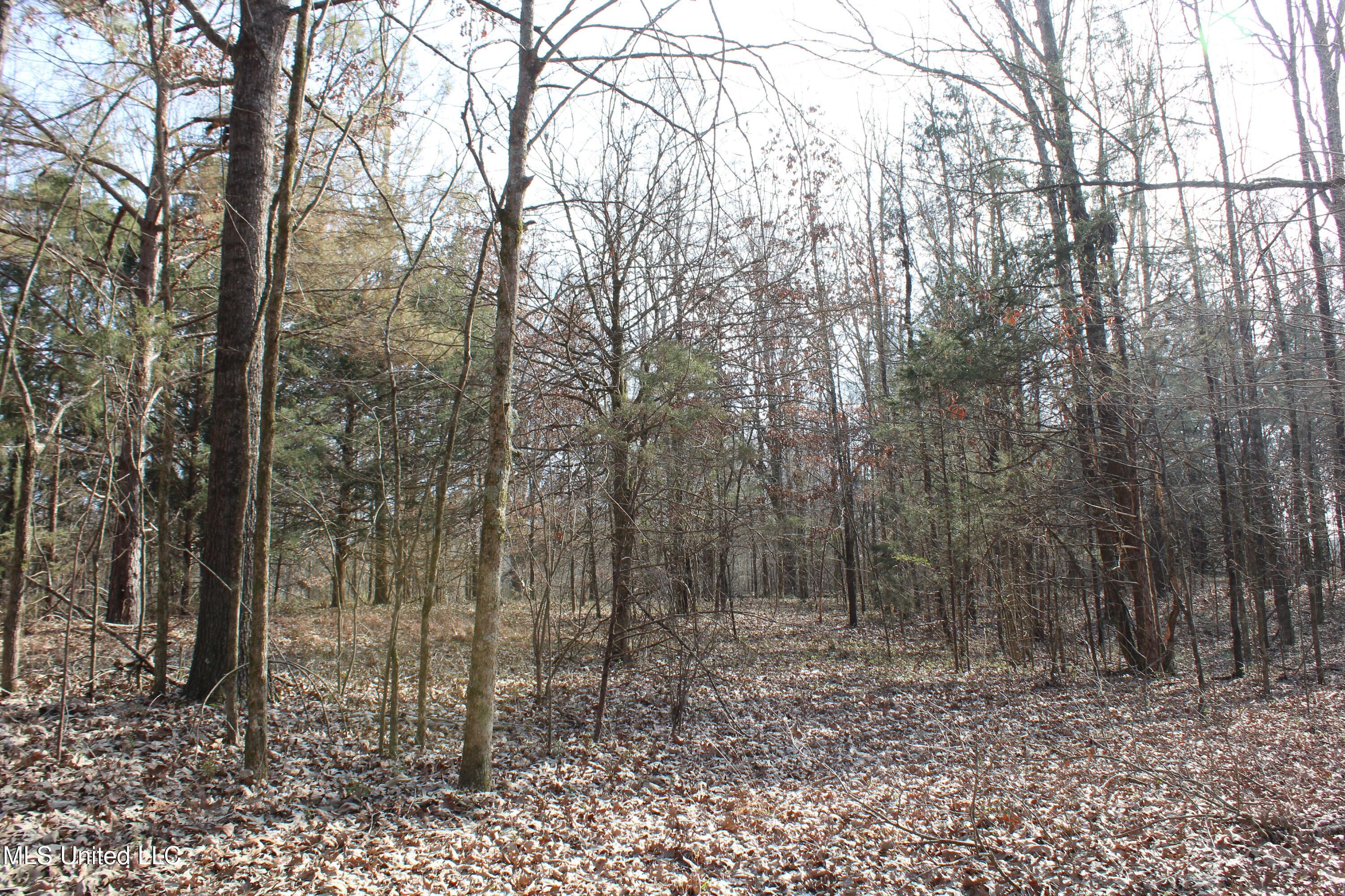 5 Hollow Crossing Cove Senatobia, MS 38668 - Photo 26 of 38 IMG_5572