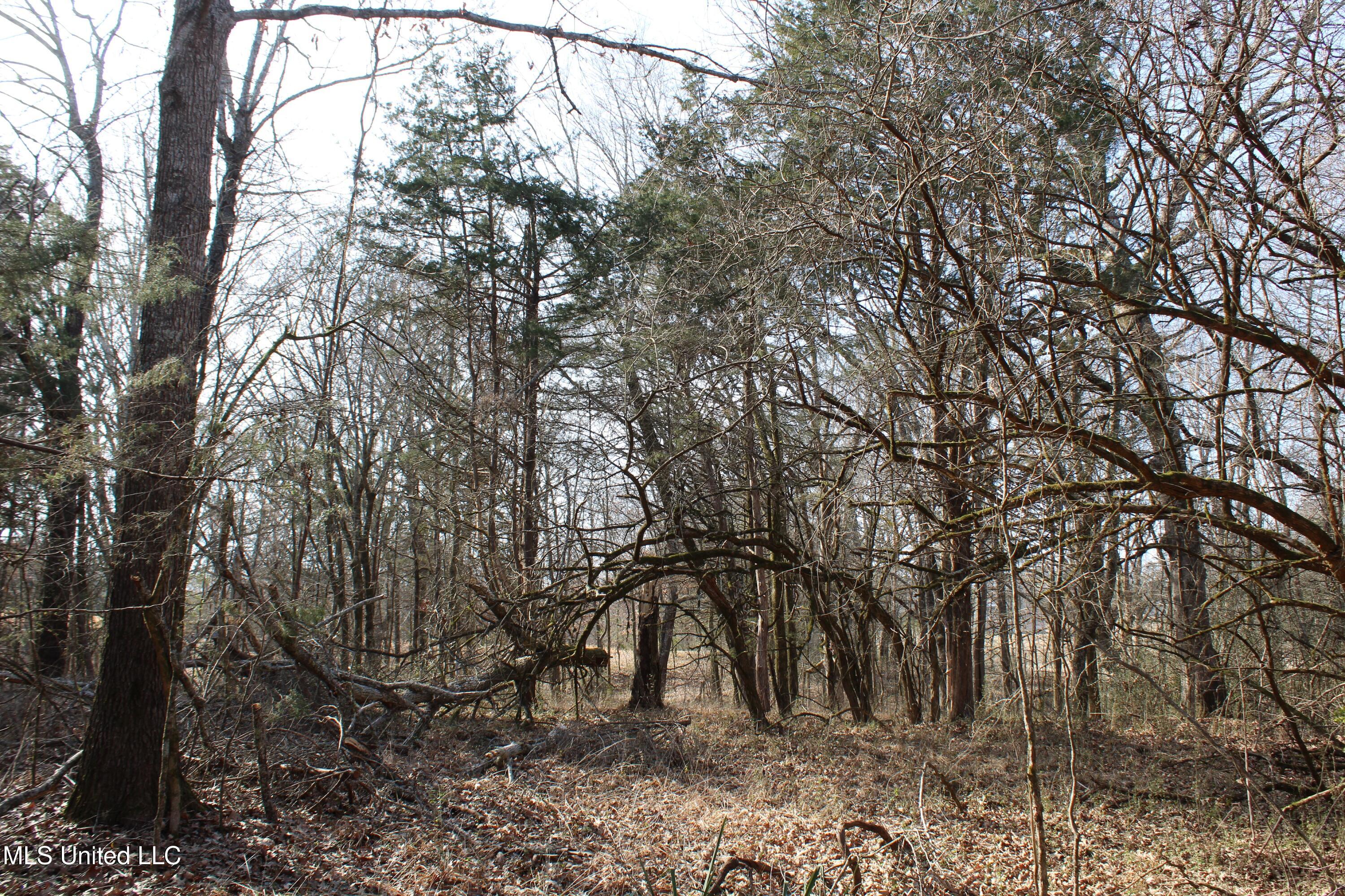 5 Hollow Crossing Cove Senatobia, MS 38668 - Photo 29 of 38 IMG_5575