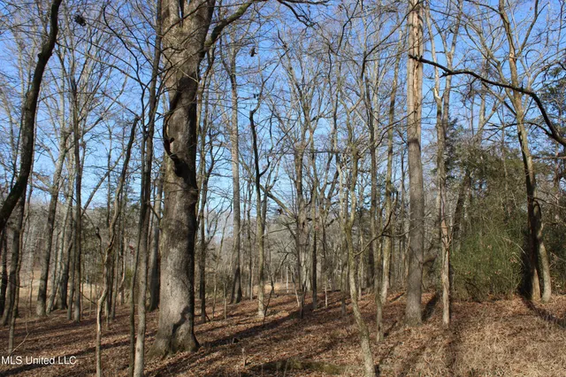 $99,900 | 5 Hollow Crossing Cove, Senatobia, MS 38668