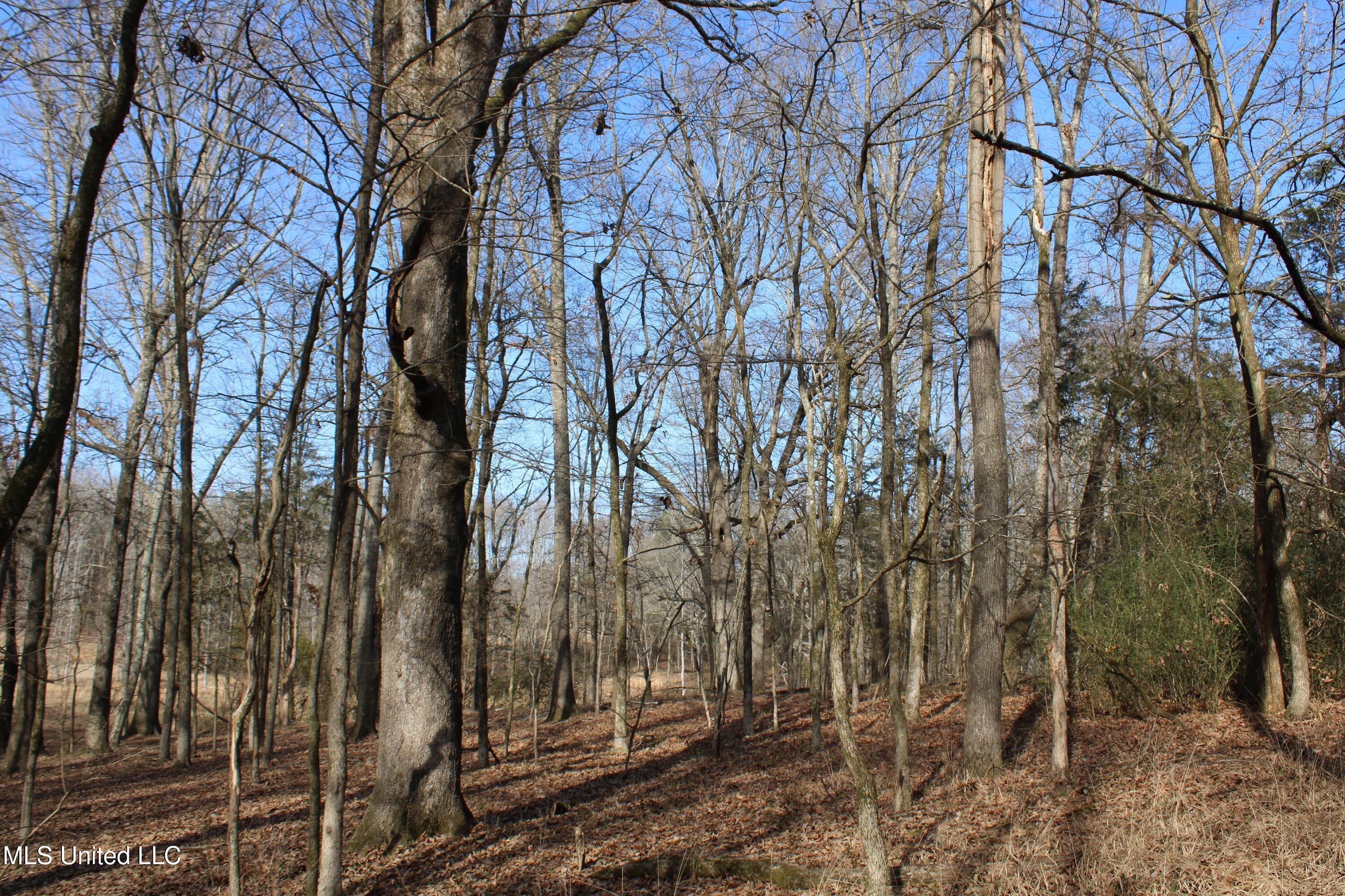 5 Hollow Crossing Cove Senatobia, MS 38668 - Photo 30 of 38 IMG_5576