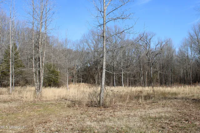 $99,900 | 5 Hollow Crossing Cove, Senatobia, MS 38668