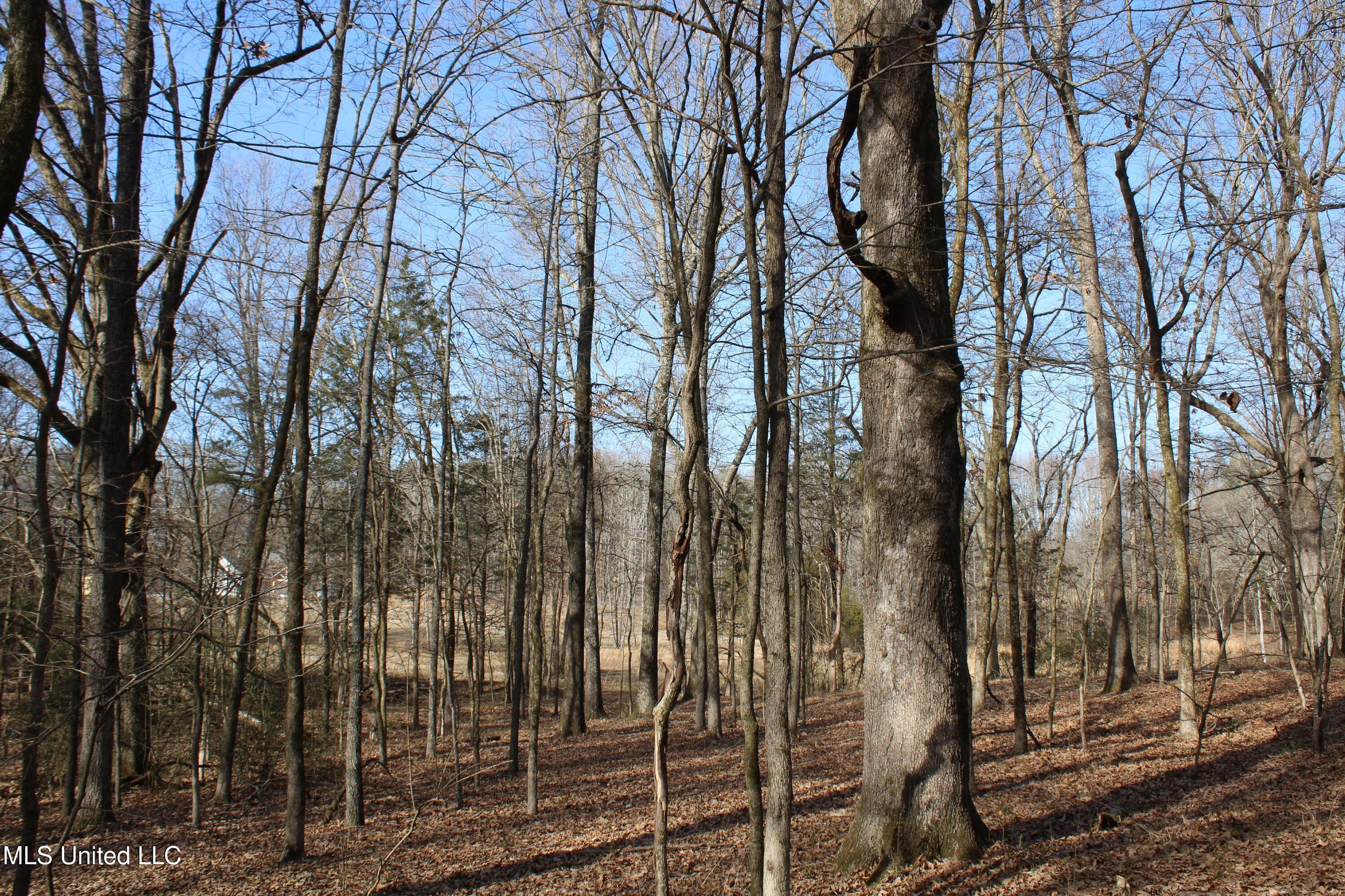5 Hollow Crossing Cove Senatobia, MS 38668 - Photo 31 of 38 IMG_5577
