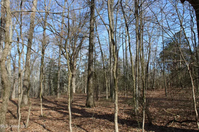 $99,900 | 5 Hollow Crossing Cove, Senatobia, MS 38668