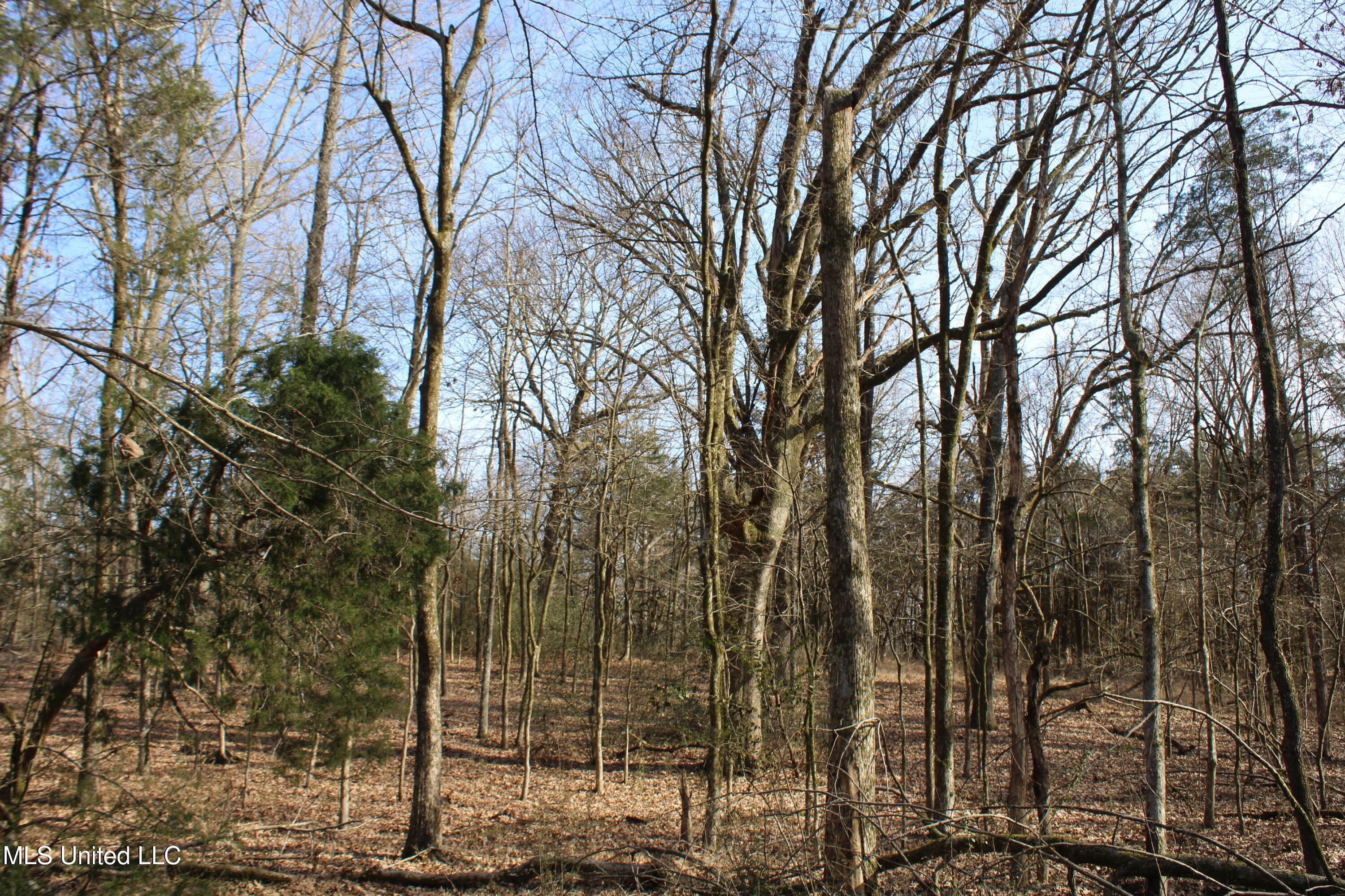 5 Hollow Crossing Cove Senatobia, MS 38668 - Photo 33 of 38 IMG_5579