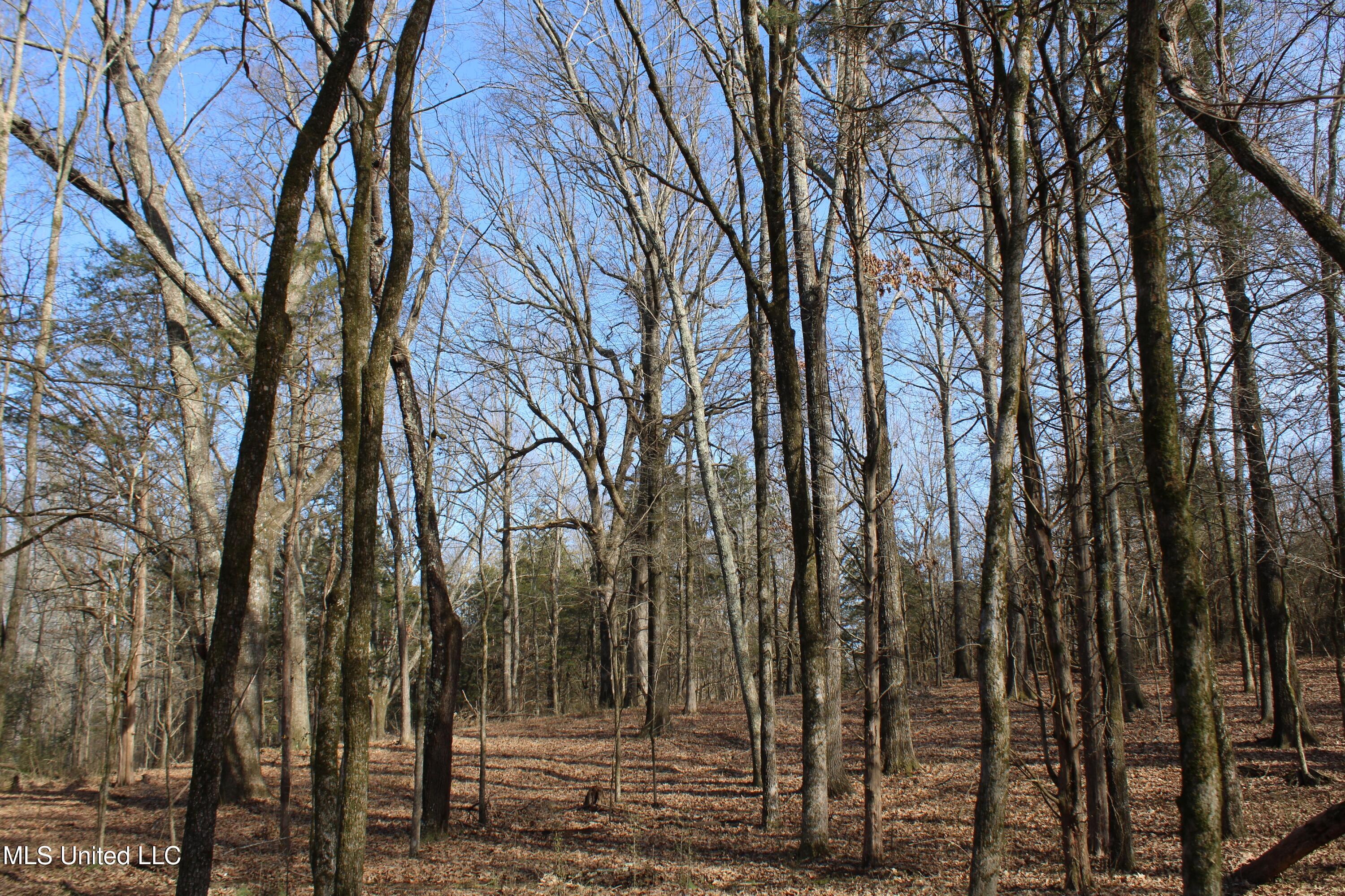 5 Hollow Crossing Cove Senatobia, MS 38668 - Photo 34 of 38 IMG_5580