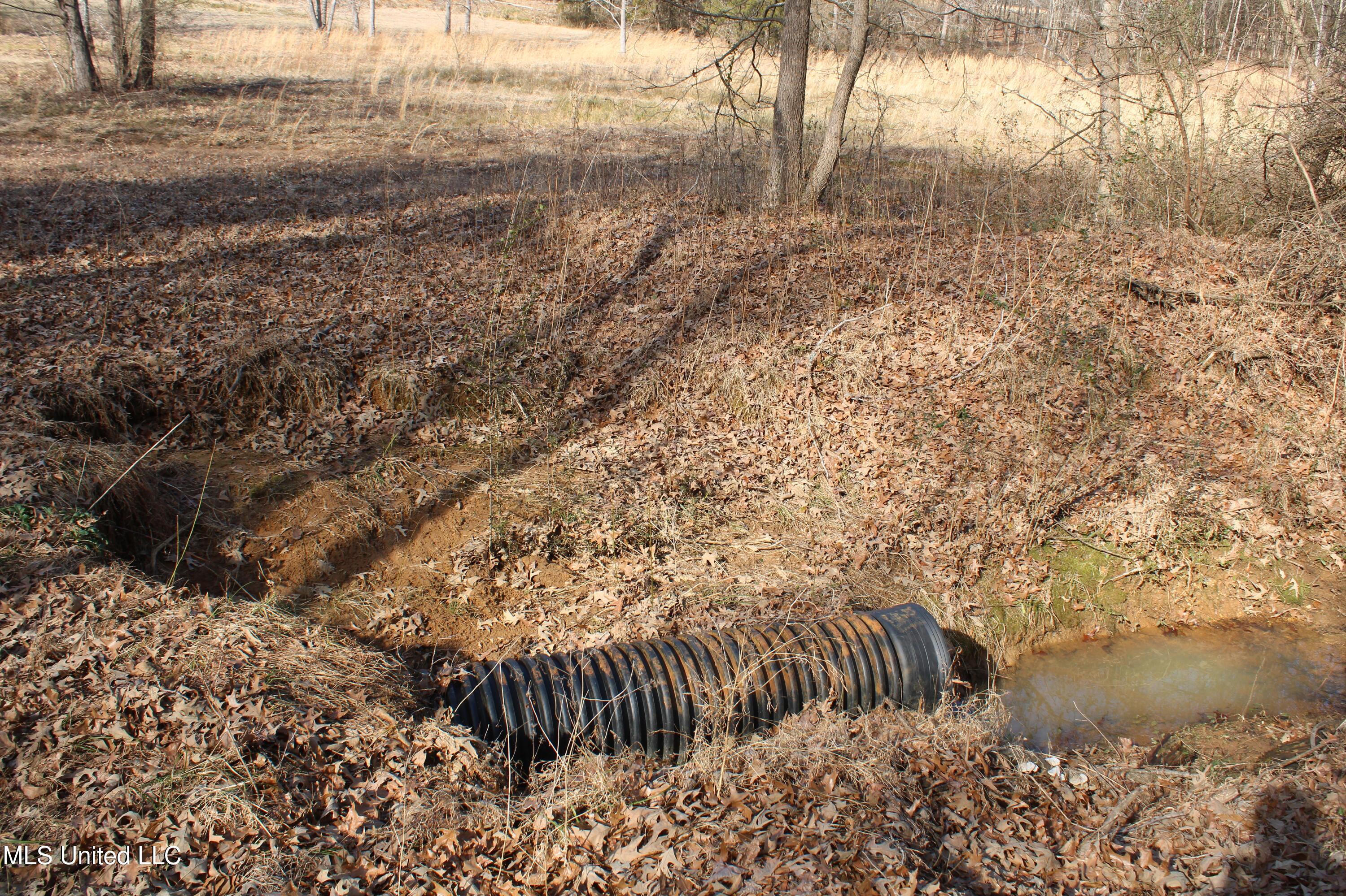 5 Hollow Crossing Cove Senatobia, MS 38668 - Photo 36 of 38 IMG_5582