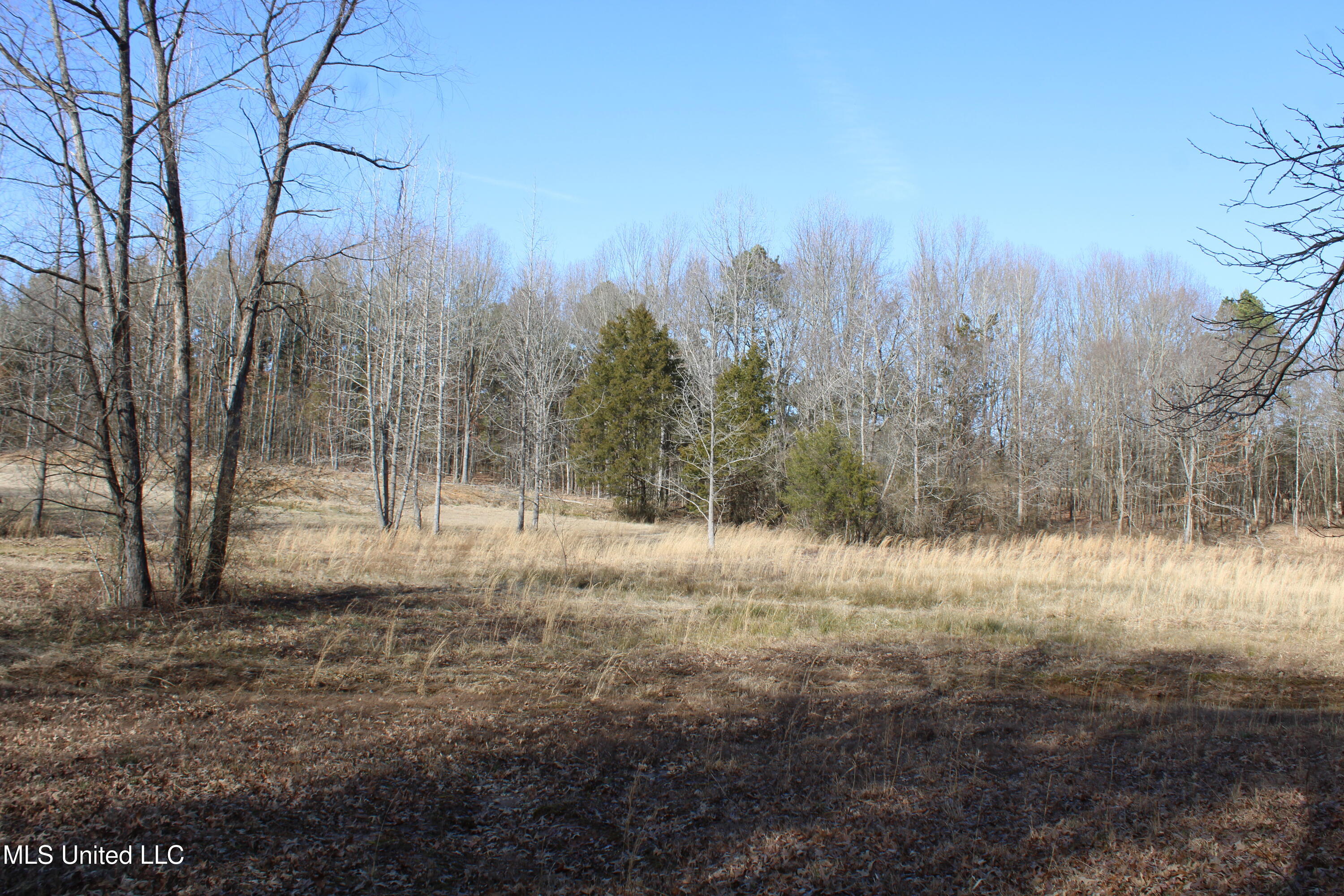 5 Hollow Crossing Cove Senatobia, MS 38668 - Photo 37 of 38 IMG_5583
