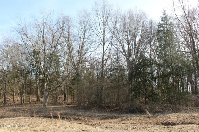 $99,900 | 5 Hollow Crossing Cove, Senatobia, MS 38668