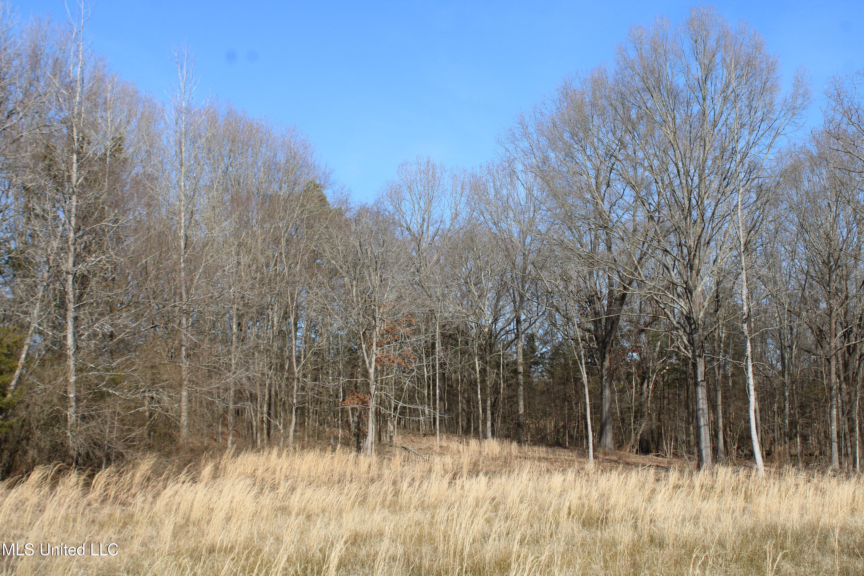 5 Hollow Crossing Cove Senatobia, MS 38668 - Photo 4 of 38 IMG_5548
