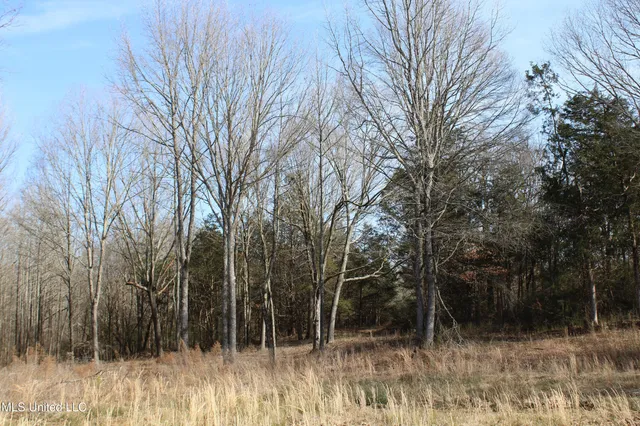 $99,900 | 5 Hollow Crossing Cove, Senatobia, MS 38668