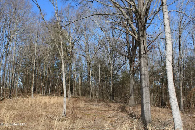 $99,900 | 5 Hollow Crossing Cove, Senatobia, MS 38668