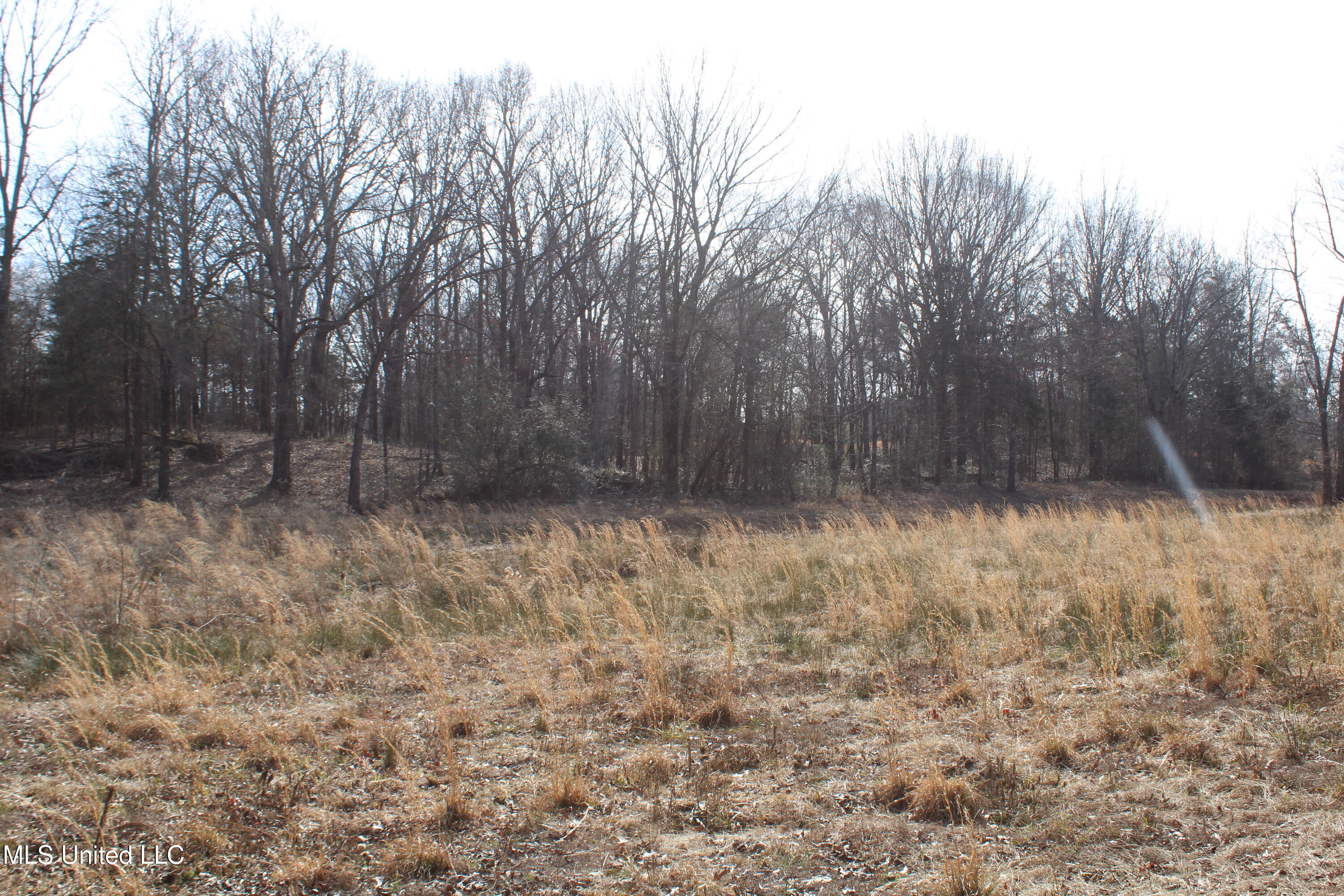 5 Hollow Crossing Cove Senatobia, MS 38668 - Photo 7 of 38 IMG_5551