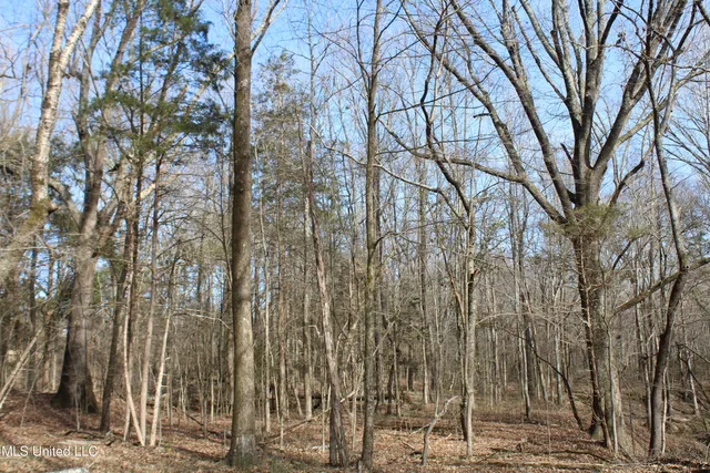 $99,900 | 5 Hollow Crossing Cove, Senatobia, MS 38668