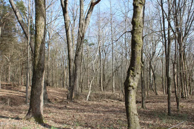 $99,900 | 5 Hollow Crossing Cove, Senatobia, MS 38668