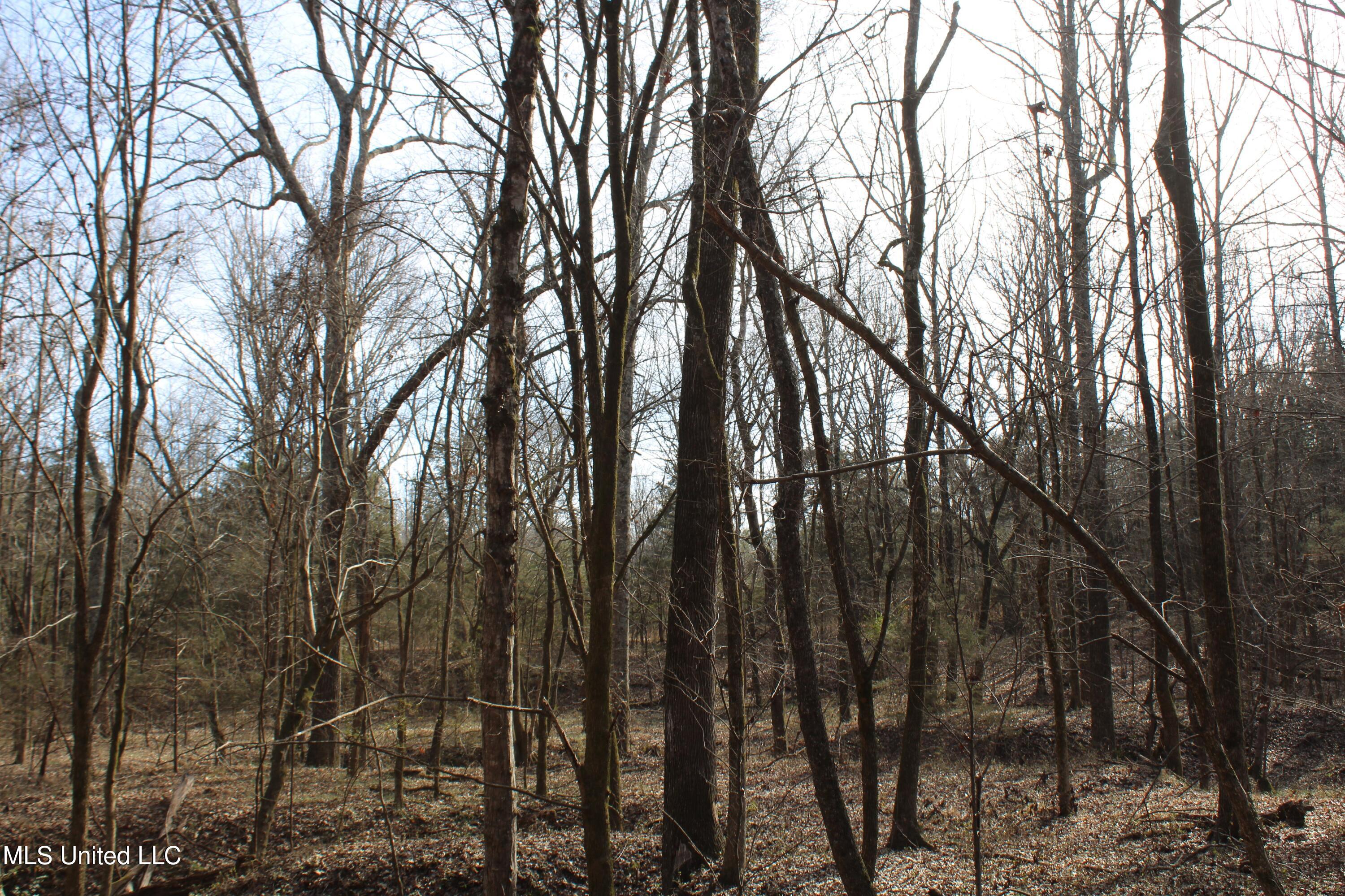 5 Hollow Crossing Cove Senatobia, MS 38668 - Photo 10 of 38 IMG_5555