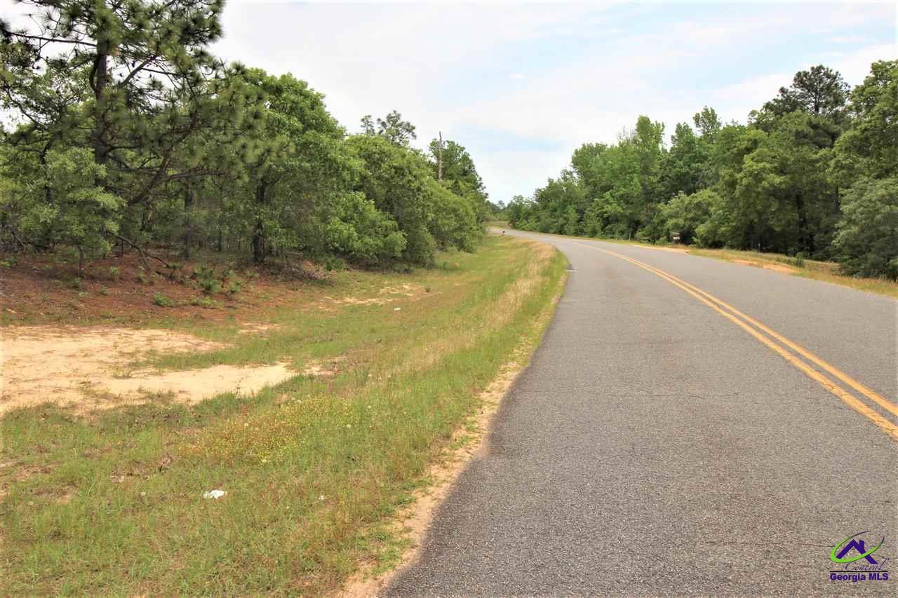 0 Pineknot Road Box Springs, GA 31801 - Photo 4 of 12