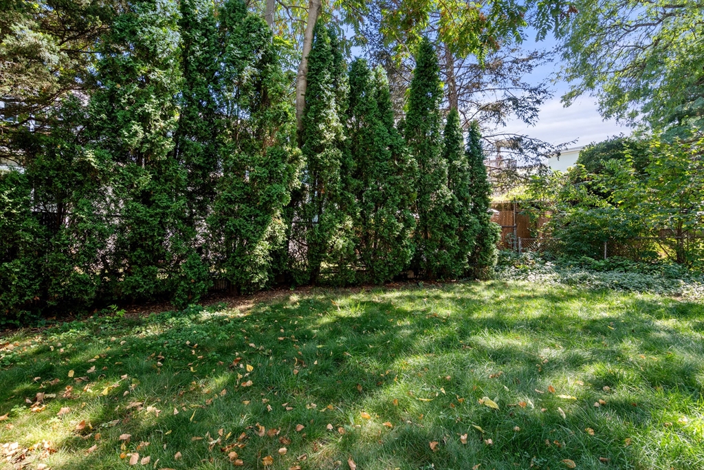 30 Union Street, Unit 1 Cambridge, MA 02141 - Photo 13 of 17 a view of outdoor space and yard