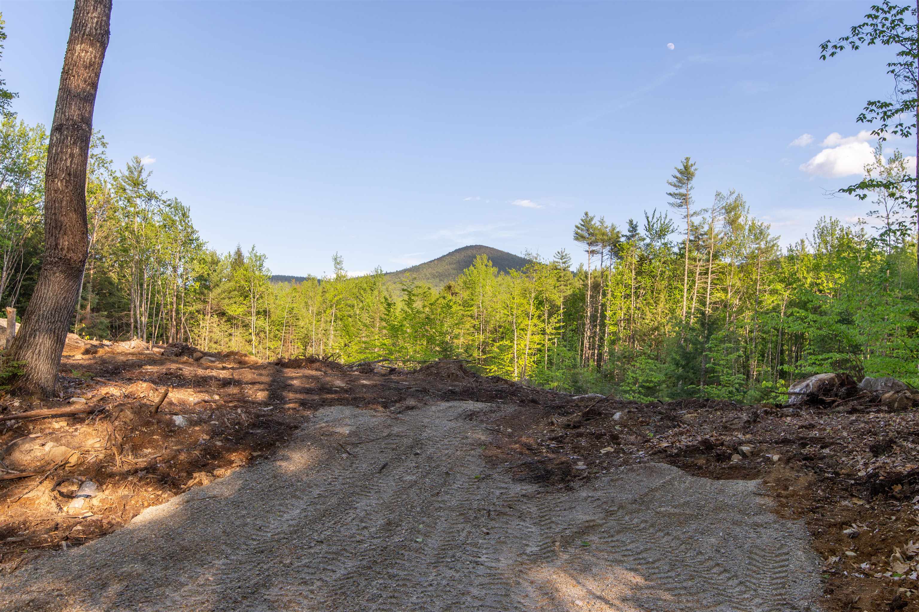 0 Elijah Beede Road Sandwich, NH 03227 - Photo 2 of 28