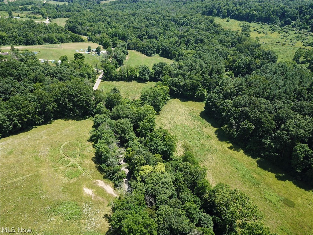 11655 Rural Dale Road Chandlersville, OH 43727 - Photo 4 of 35