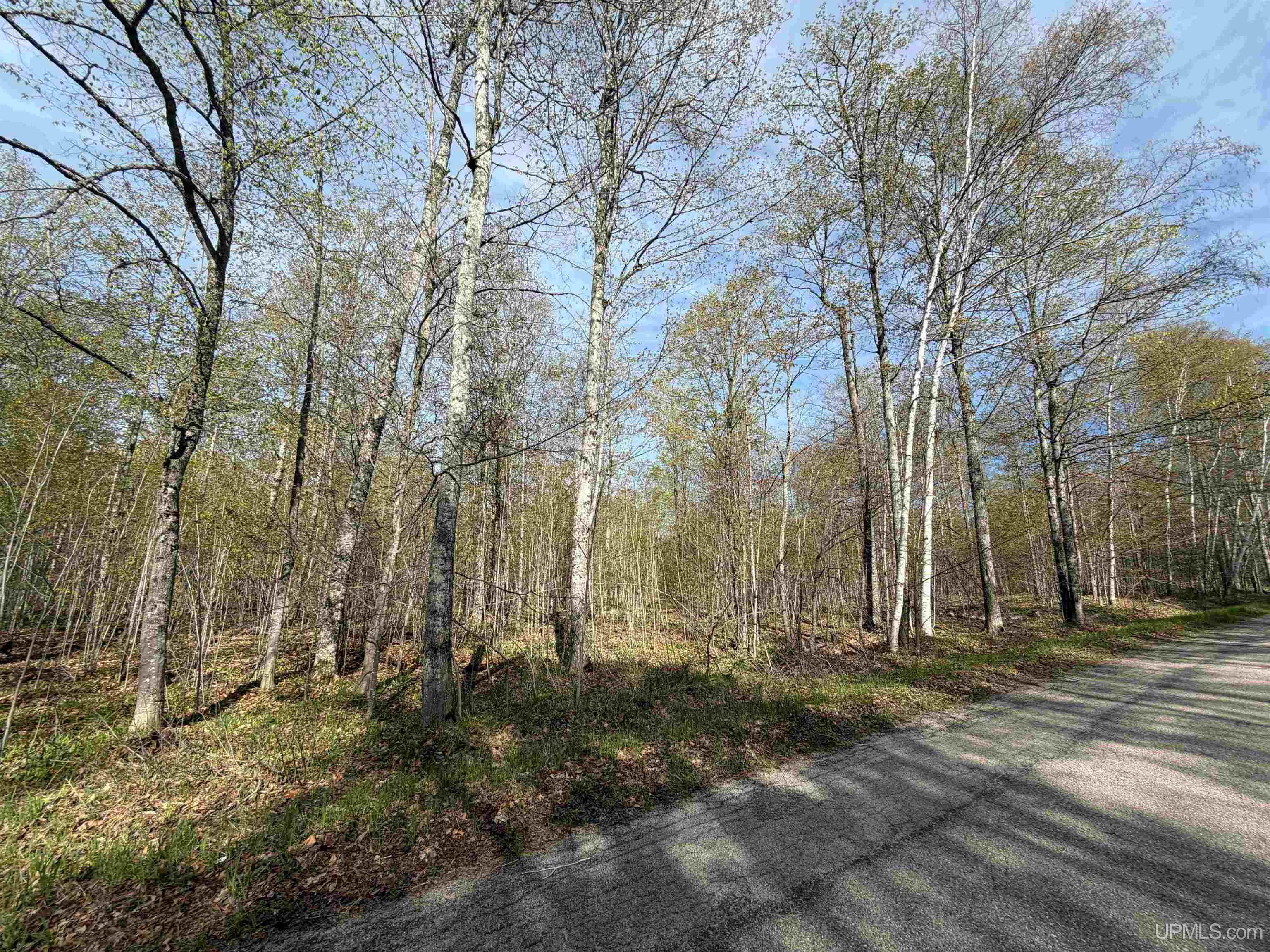Tbd County Road 479 Road McMillan, MI 49853 - Photo 3 of 4