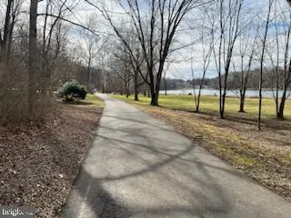 a view of backyard with tree