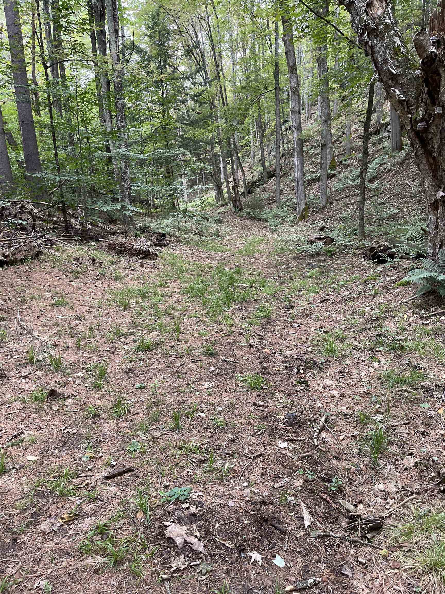 0 Stock Farm Road, Unit 49 #50 #51 #52 Randolph, VT 05060 - Photo 4 of 8