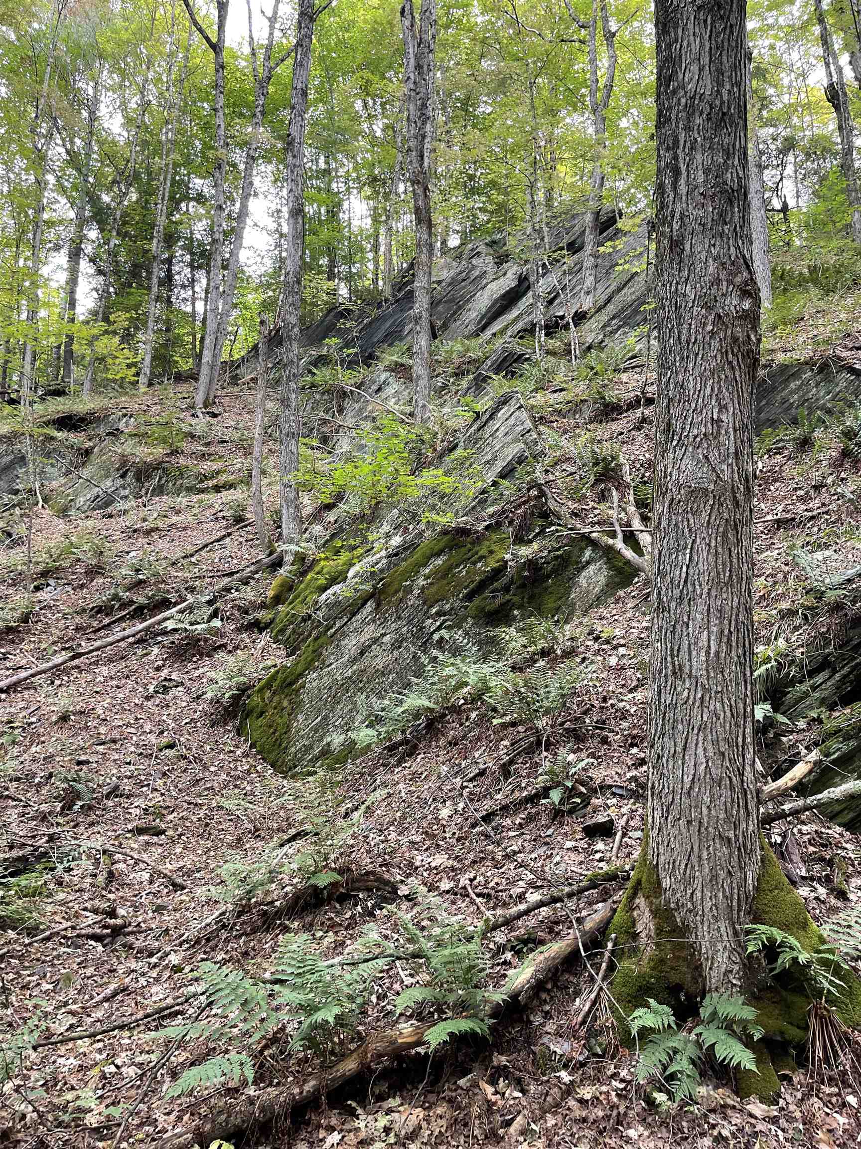 0 Stock Farm Road, Unit 49 #50 #51 #52 Randolph, VT 05060 - Photo 6 of 8