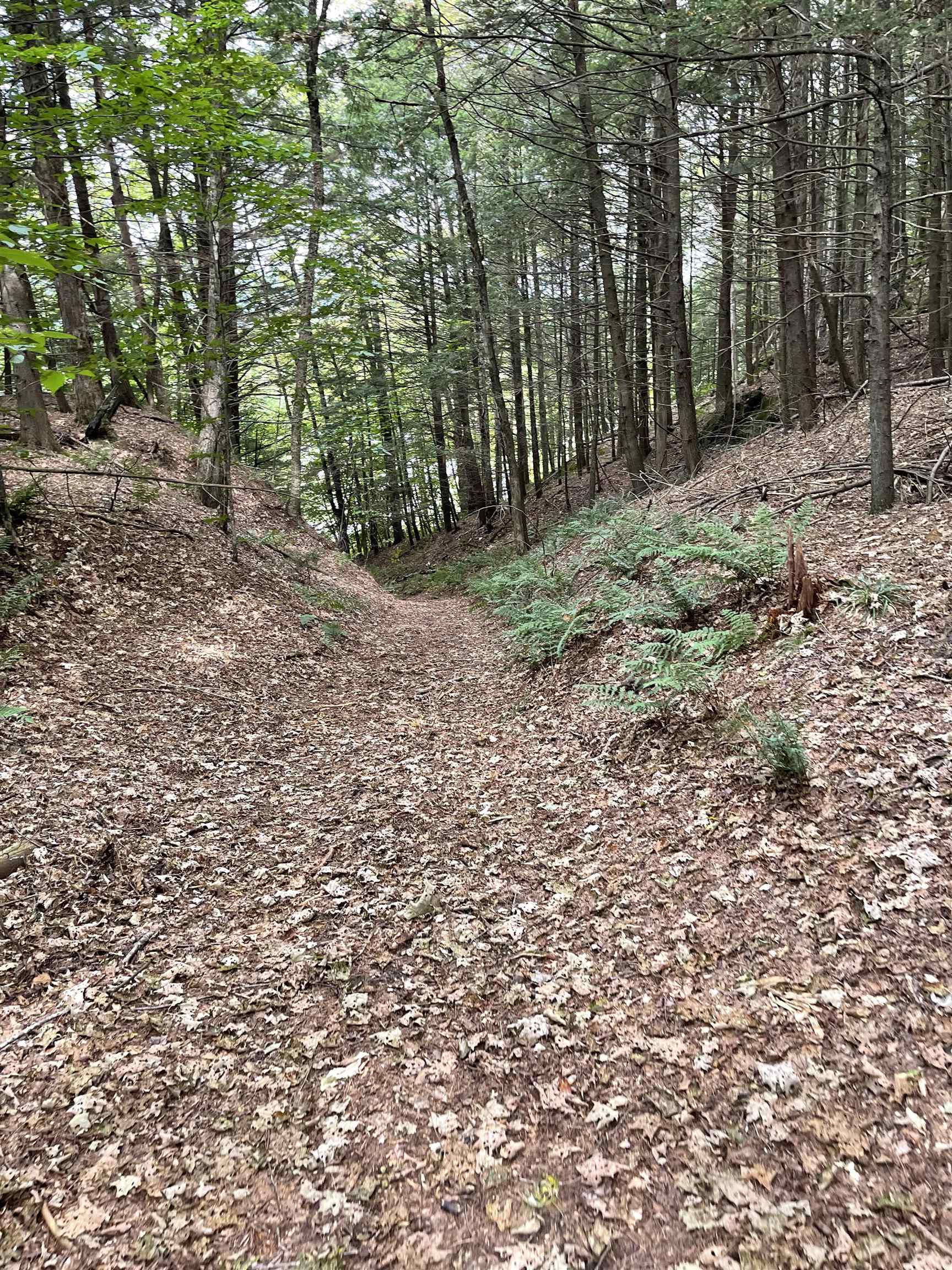 0 Stock Farm Road, Unit 49 #50 #51 #52 Randolph, VT 05060 - Photo 7 of 8