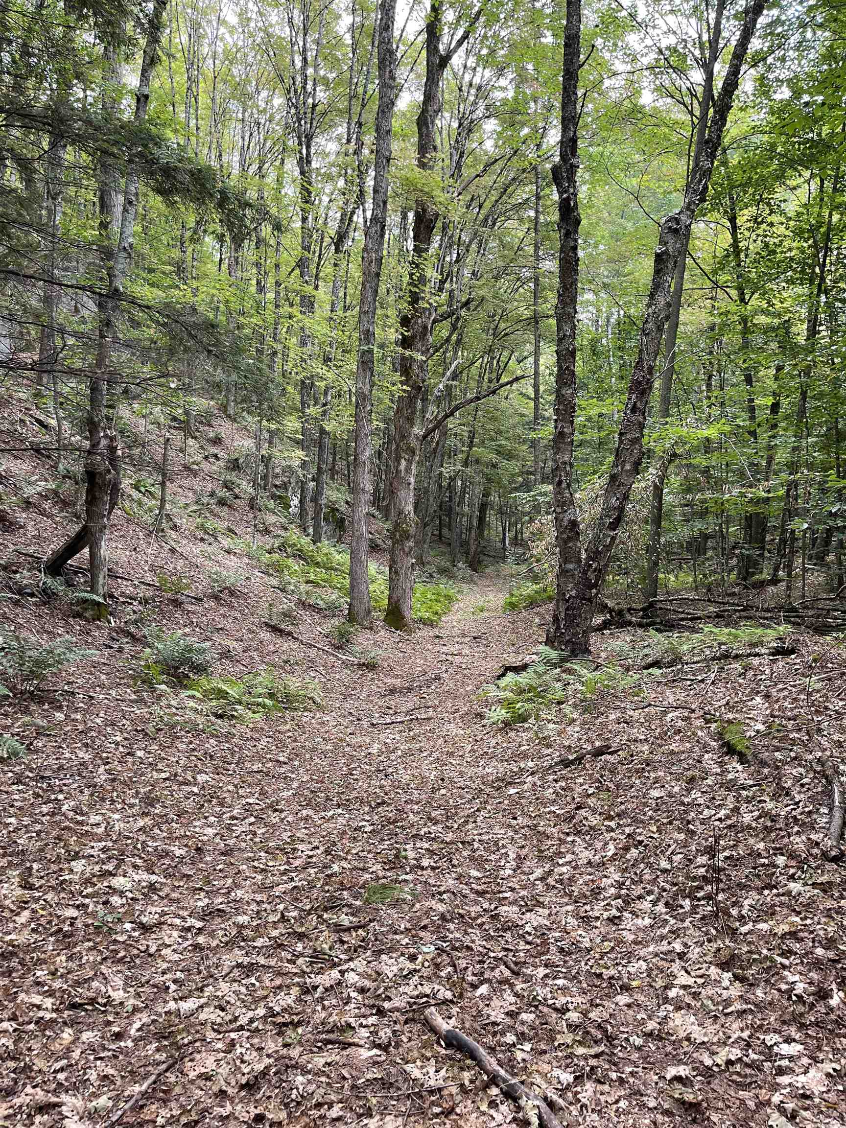 0 Stock Farm Road, Unit 49 #50 #51 #52 Randolph, VT 05060 - Photo 8 of 8