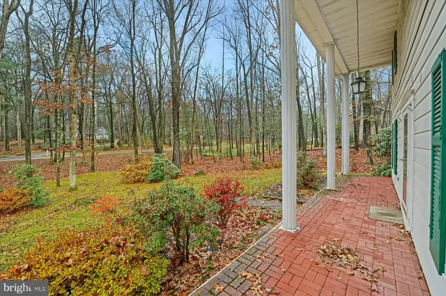 a view of backyard with green space