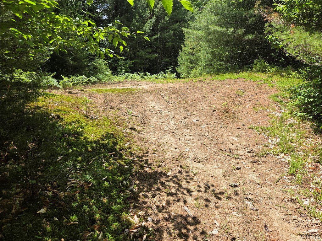 River Road Port Leyden, NY 13433 - Photo 6 of 12 gravel pit