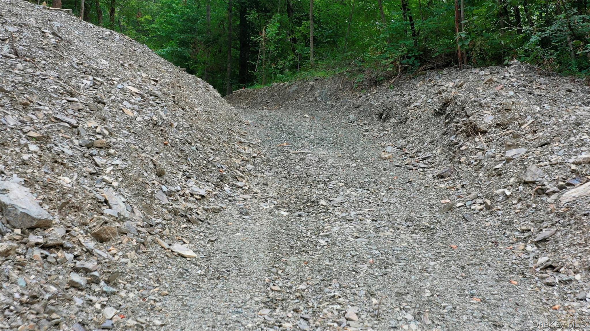 Creek Road Pleasant Valley, NY 12569 - Photo 1 of 18 a view of a yard with plants and trees
