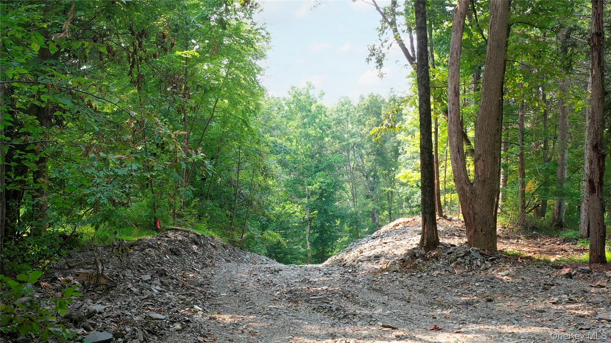 Creek Road Pleasant Valley, NY 12569 - Photo 11 of 18 a view of outdoor space and trees
