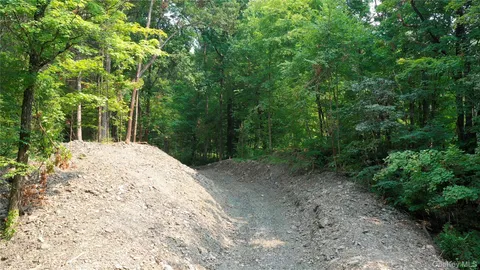 a view of a backyard with plants and large trees