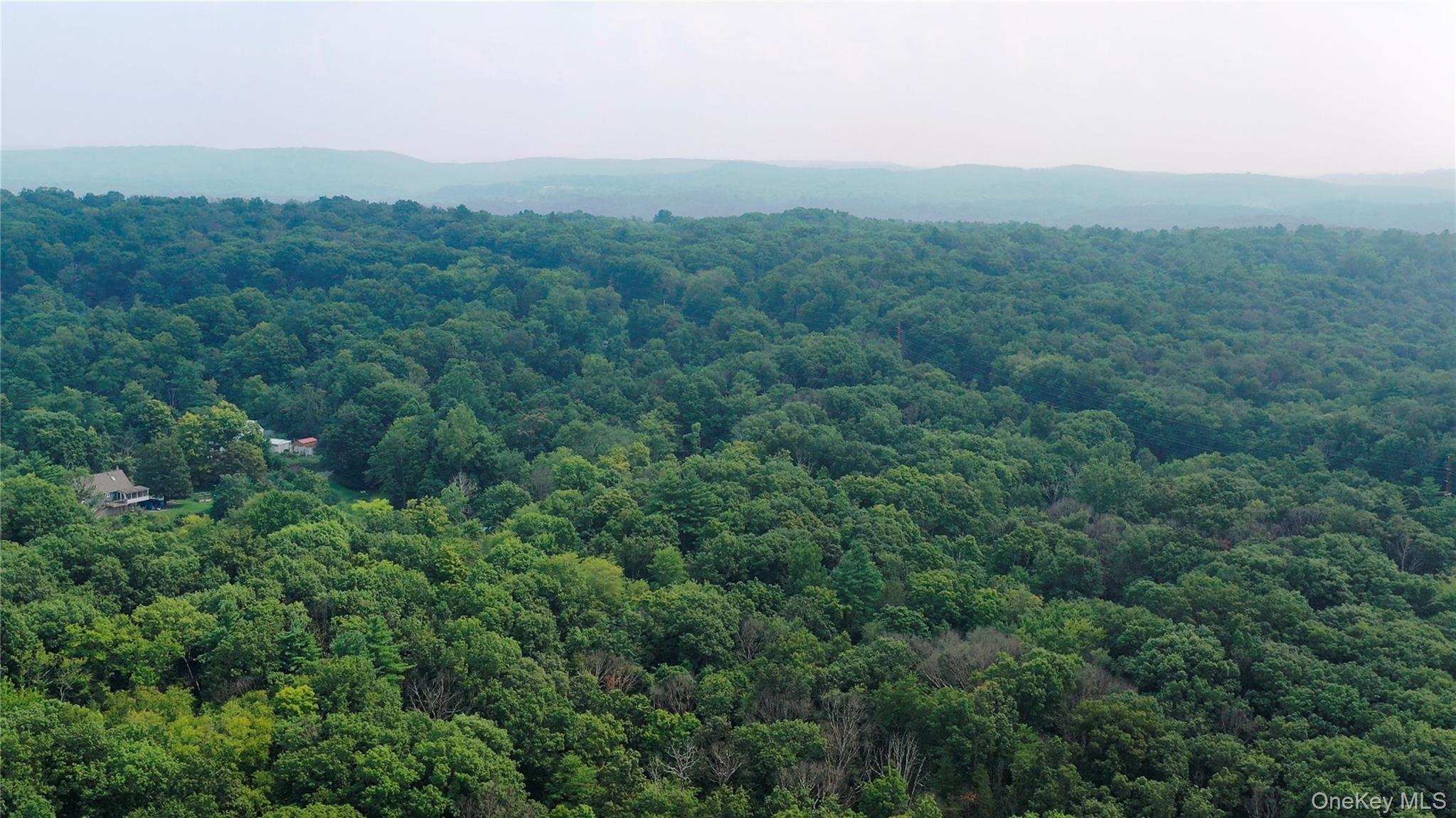 Creek Road Pleasant Valley, NY 12569 - Photo 17 of 18 a view of a lush green forest with trees in the background
