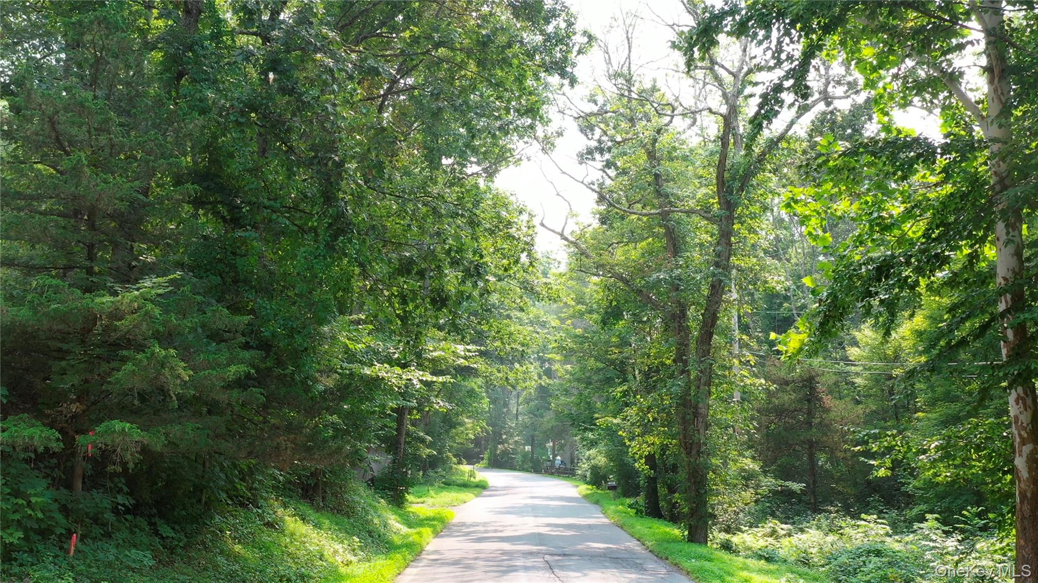 Creek Road Pleasant Valley, NY 12569 - Photo 18 of 18 a view of a pathway of a forest