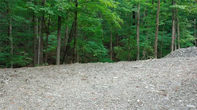 a view of a backyard of the house