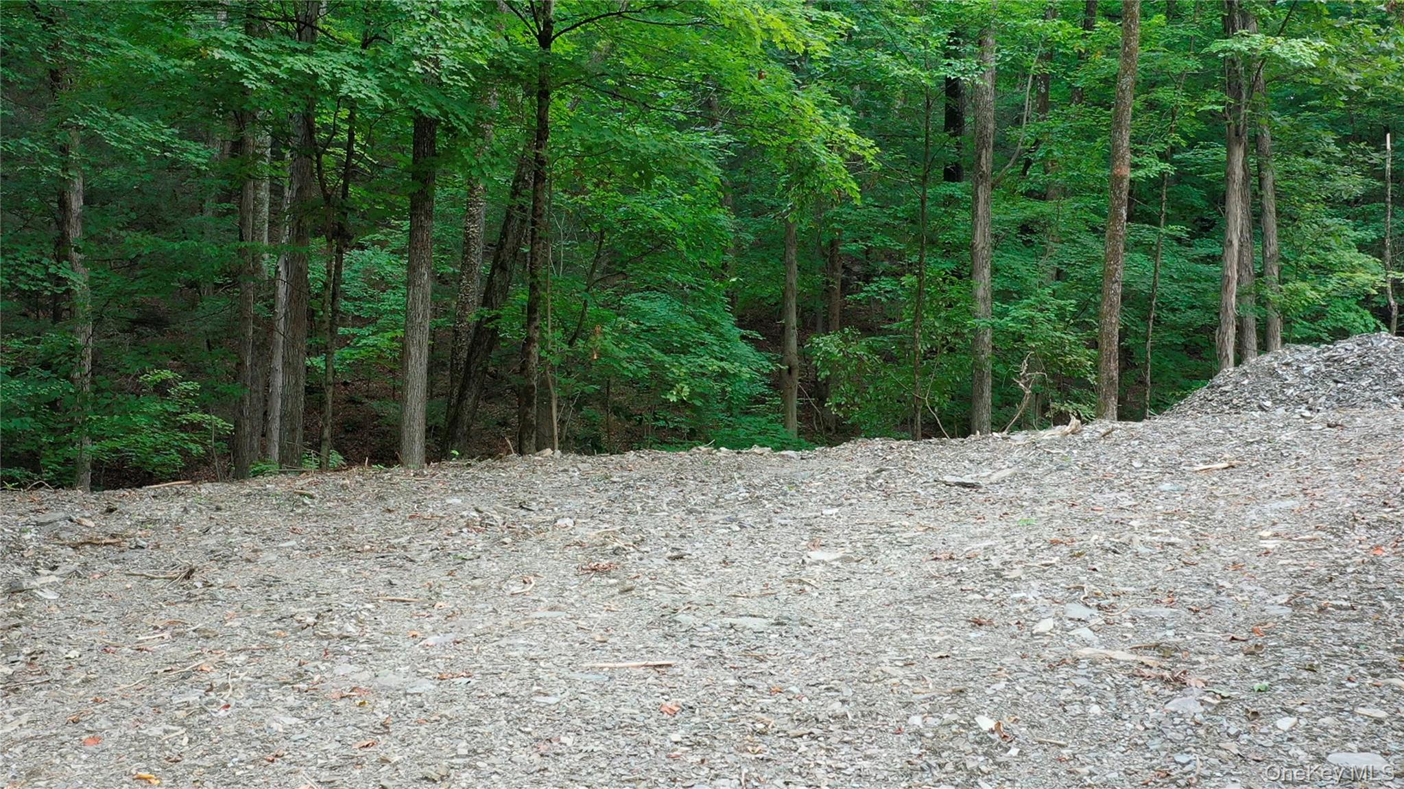 Creek Road Pleasant Valley, NY 12569 - Photo 2 of 18 a view of a backyard of the house