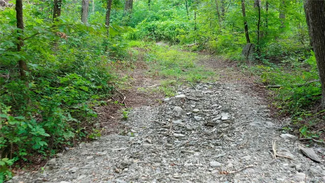 a view of a large yard with lots of green space