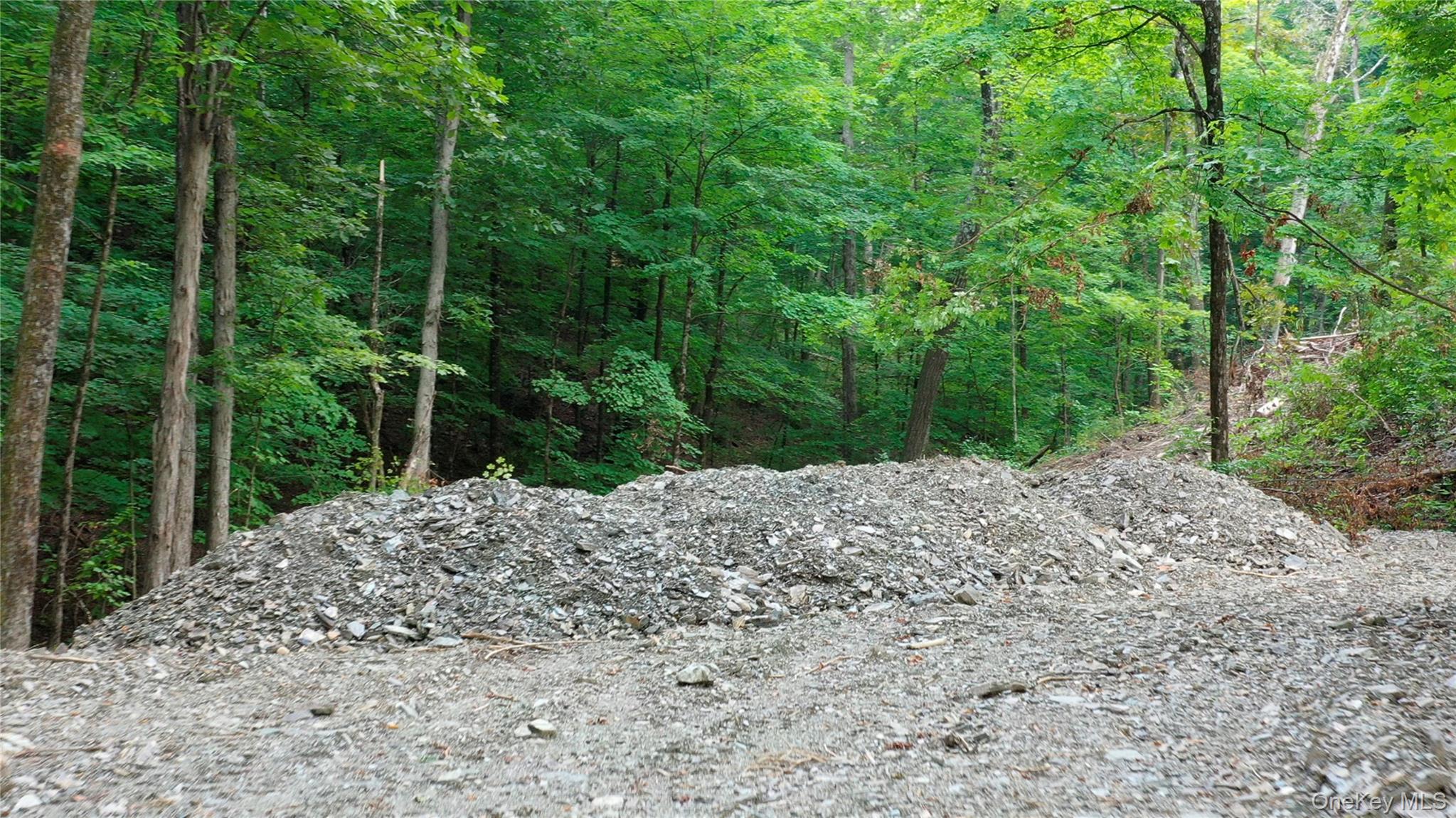 Creek Road Pleasant Valley, NY 12569 - Photo 4 of 18 a wooden bench with view of trees