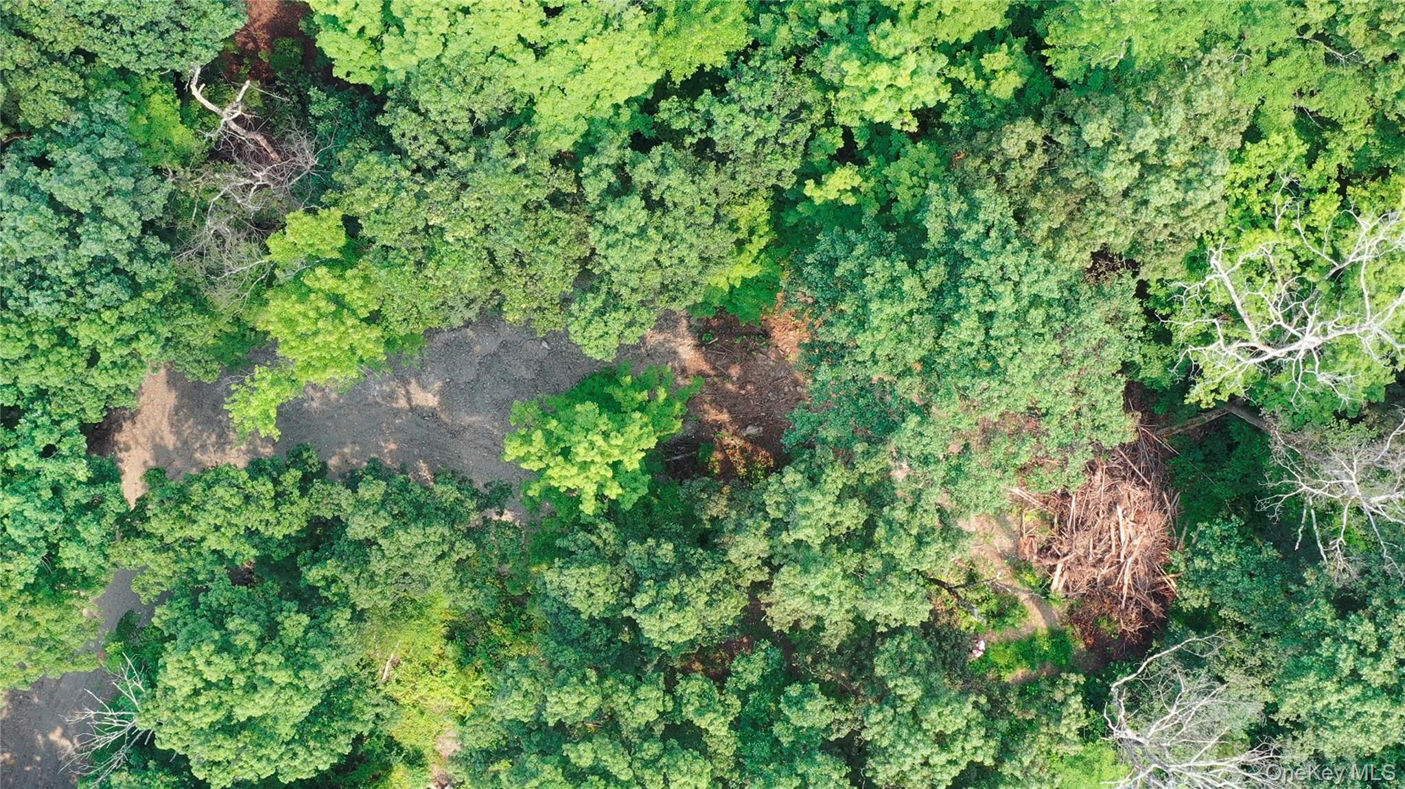 Creek Road Pleasant Valley, NY 12569 - Photo 7 of 18 an aerial view of residential house with outdoor space and trees all around