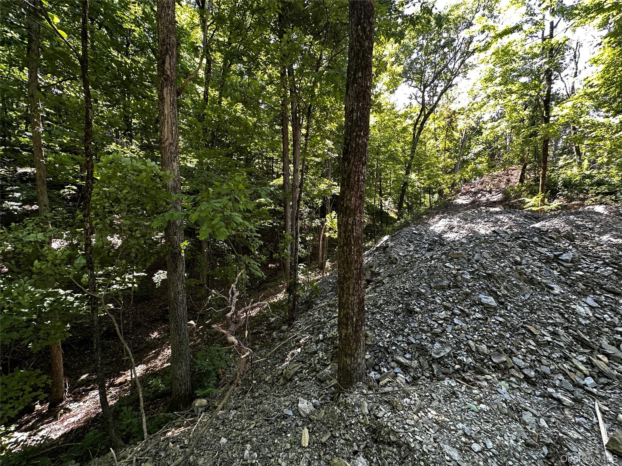Creek Road Pleasant Valley, NY 12569 - Photo 8 of 18 a view of forest