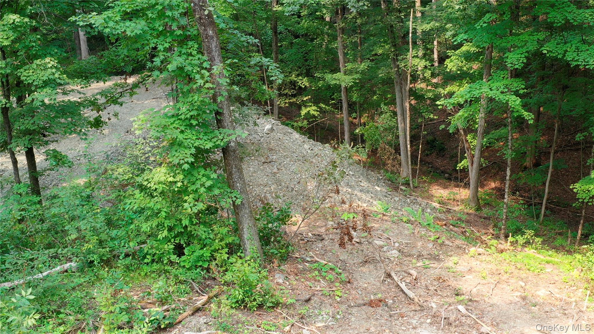 Creek Road Pleasant Valley, NY 12569 - Photo 9 of 18 a view of a yard with large trees