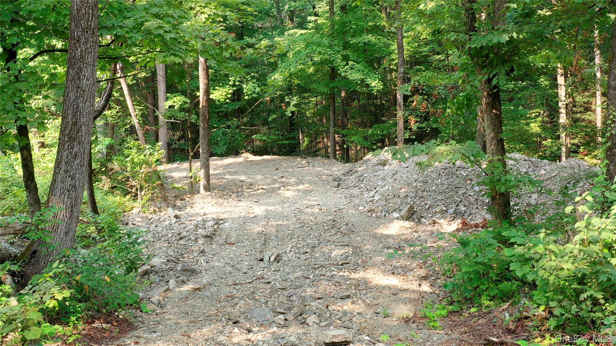 Creek Road Pleasant Valley, NY 12569 - Photo 10 of 18 a view of a forest filled with trees